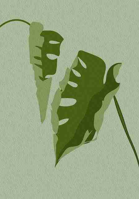 新手向每日大赛51——深度解析看点一览