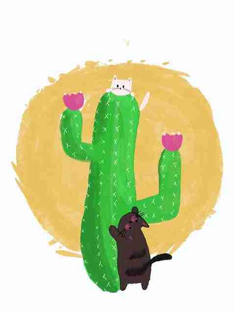 新手向每日大赛51——深度解析看点一览